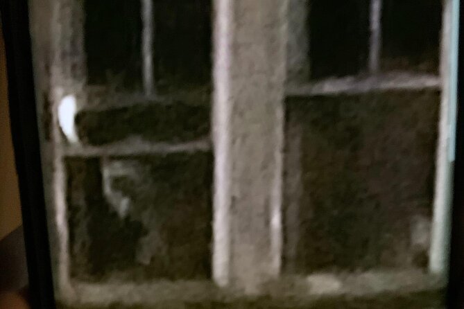 A Ghost Hunting Tour Specters and Apparitions in Salem - Howard Street Cemetery Edge: Spirit Boxes, Flashlights, and the Salem Rules