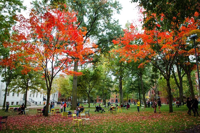 Boston and Cambridge Private Day Tour - What to expect at each stop: time, walking, and photo strategy