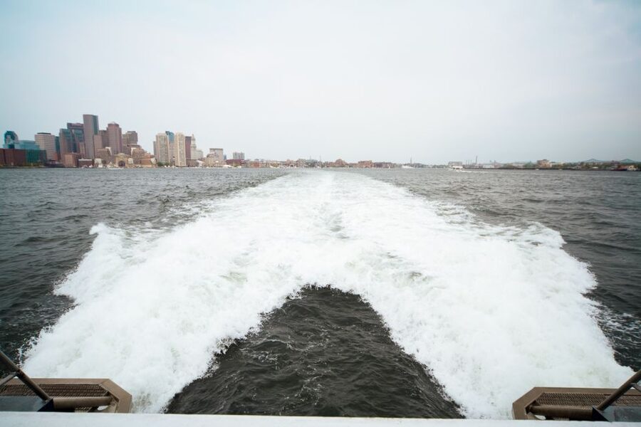 Boston: City Cruises Whale Watching Cruise - How the Naturalists Make the Spotting Easier (and More Fun)