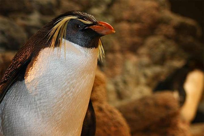 Boston CityPASS® - Museum of Science: the hands-on museum that works for different ages