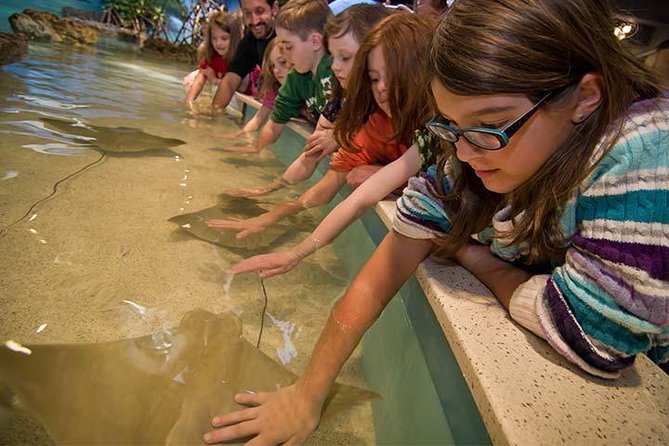 Boston CityPASS® - Franklin Park Zoo: daytime fun, and know what you’re signing up for