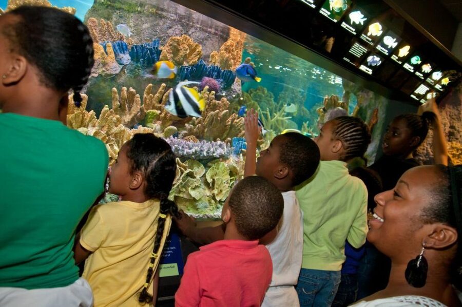 Boston CityPASS®: Save up to 46% at 4 Top Attractions - Who should buy Boston CityPASS®