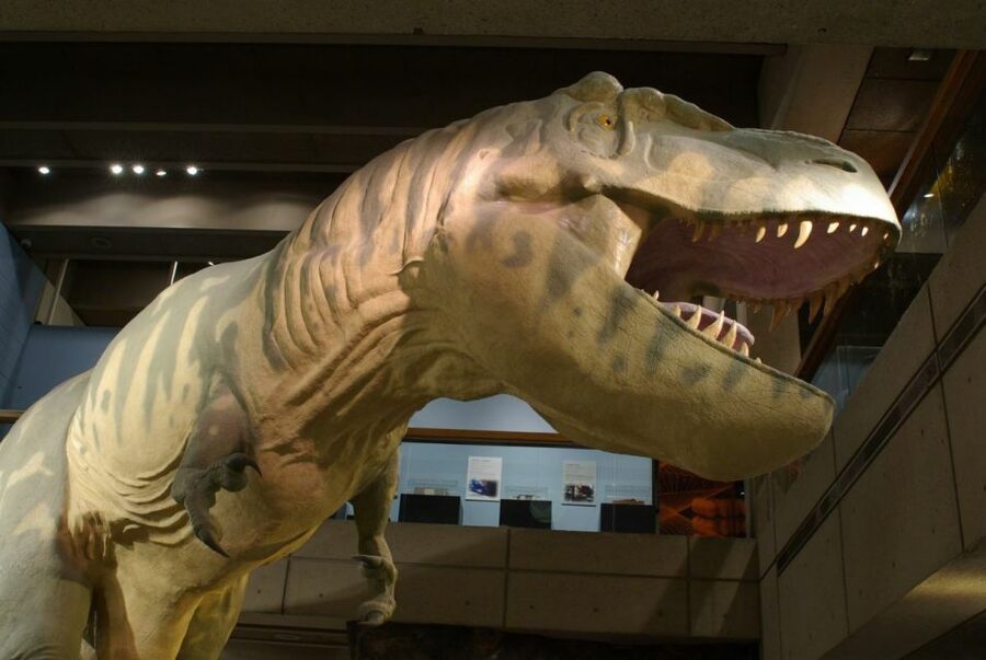Boston CityPASS®: Save up to 46% at 4 Top Attractions - New England Aquarium: included admission that fits many trip styles