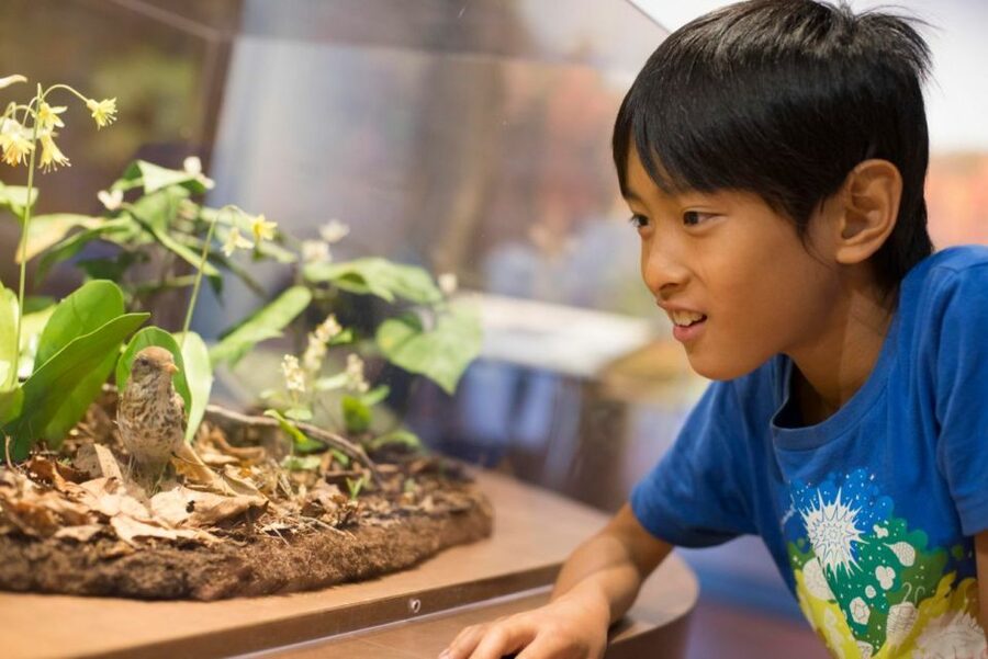 Boston CityPASS®: Save up to 46% at 4 Top Attractions - Museum of Science: your “all-weather” pick for hands-on curiosity