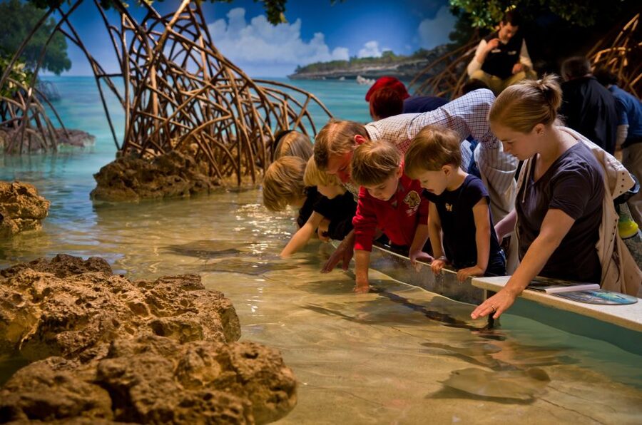 Boston CityPASS®: Save up to 46% at 4 Top Attractions - Choosing your 2 extra attractions: pick the mood you want