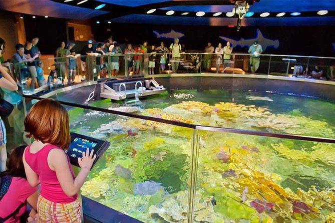 Boston CityPASS® - The nine consecutive days: how to pace your visit without burning out