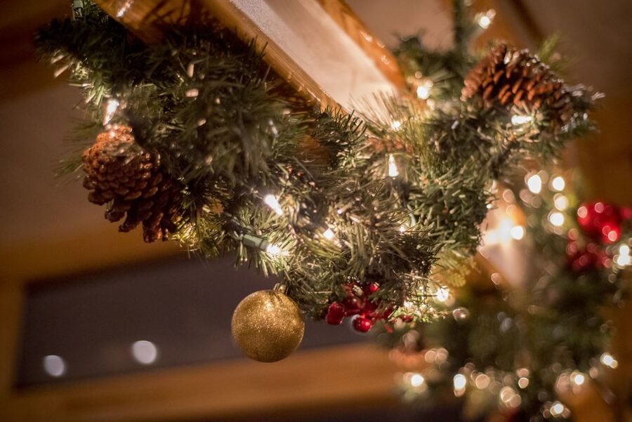 Boston: Cocoa and Carols Holiday Cruise - Price and Value: Why $65 Might Feel Fair or Slightly High