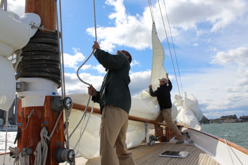Boston: Downtown Harbor Sailing Cruise - Drinks, credit cards, and bringing your own picnic