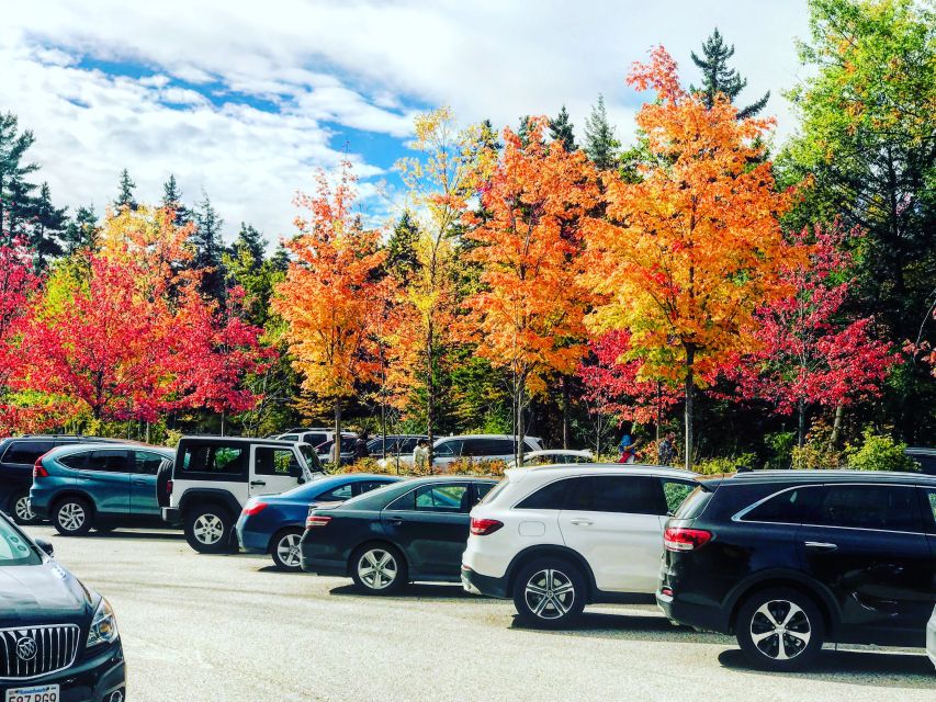 Boston: Fall Foliage Tour - From Boston Pickup to White Mountains Views: What the Day Feels Like