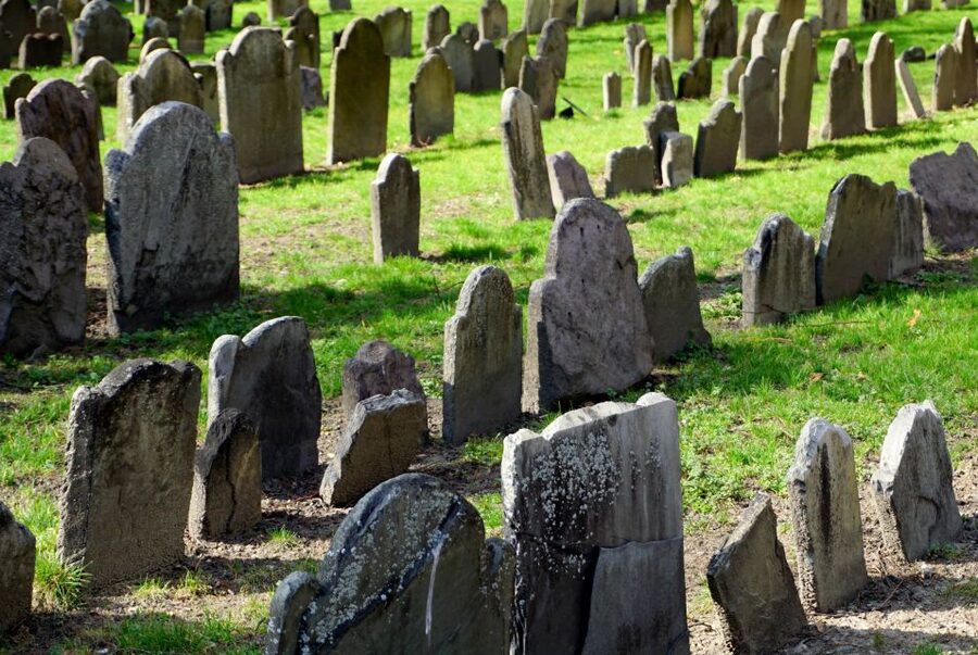 Boston: Freedom Trail History Small Group Walking Tour - Pace, comfort, and who should choose this tour