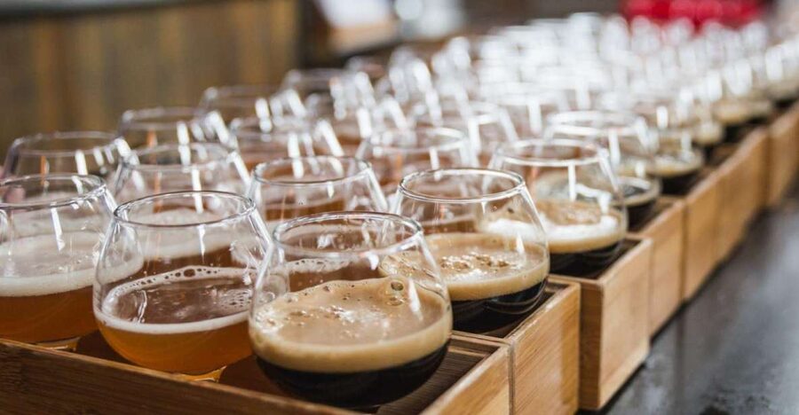 Boston: Guided Craft Brewery Tour with a Snack - Up to 12 Tastings: Pacing, Choices, and What to Notice