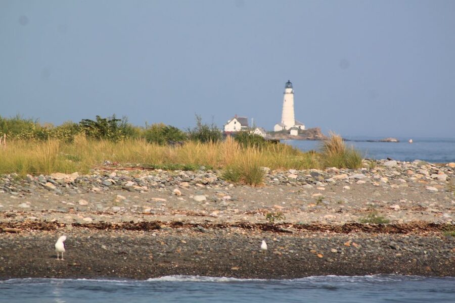 Boston Harbor: Fall Foliage Luncheon Cruise - Price and Value: Is $69 Worth It?
