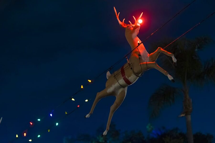 Boston: Holiday Sights and Festive Nights Trolley Tour - Key highlights you’ll actually care about