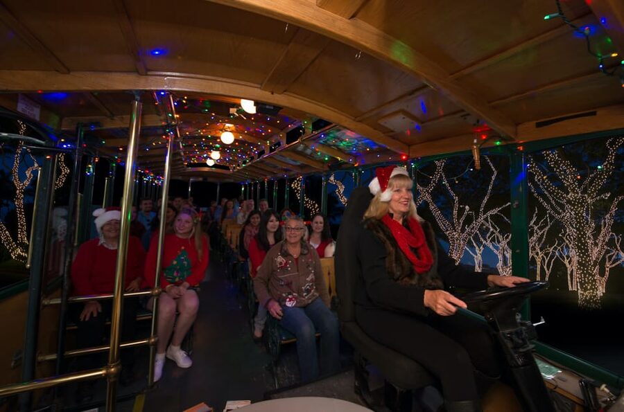 Boston: Holiday Sights and Festive Nights Trolley Tour - Boston Common photo stop: ice rink vibes and the Halifax tree