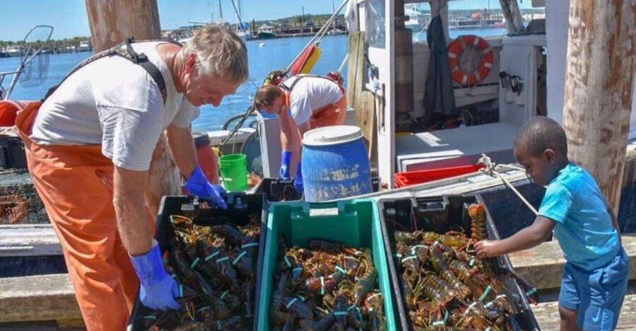 Boston: Kennebunkport Day Trip with Optional Lobster Tour - Key highlights worth your attention