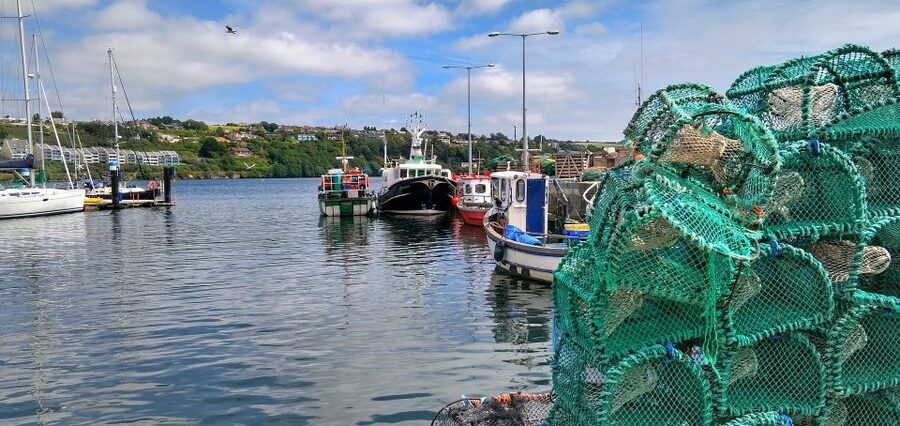 Boston: Kennebunkport Day Trip with Optional Lobster Tour - Seafood and the optional lobster tour: choosing your food intensity