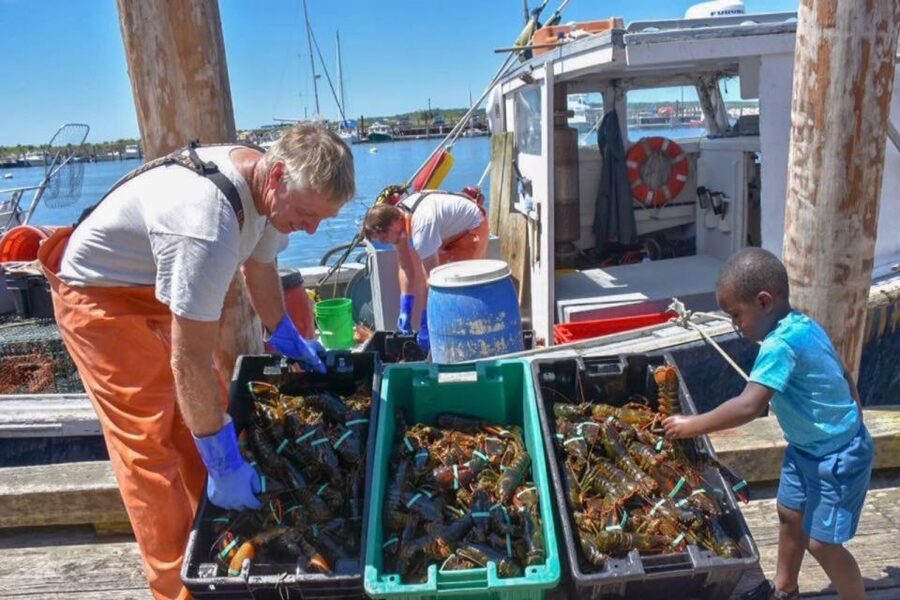 Boston: Kennebunkport Day Trip with Optional Lobster Tour - Price and value at $125 per person: what you’re paying for