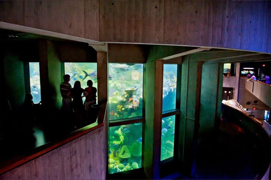 Boston Pass: Save up to 50% - Includes Franklin Park Zoo - Mobile QR pass and the Go City app: your day-by-day cheat sheet
