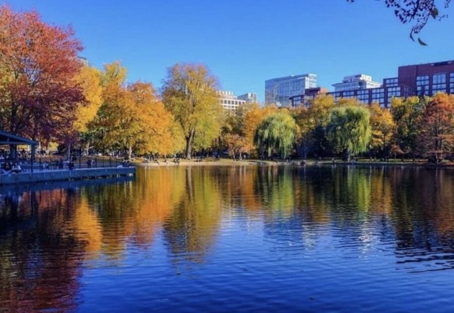 Boston Premium Driving Tour with Boat Cruise and Bunker Hill - What the $169 price really buys you