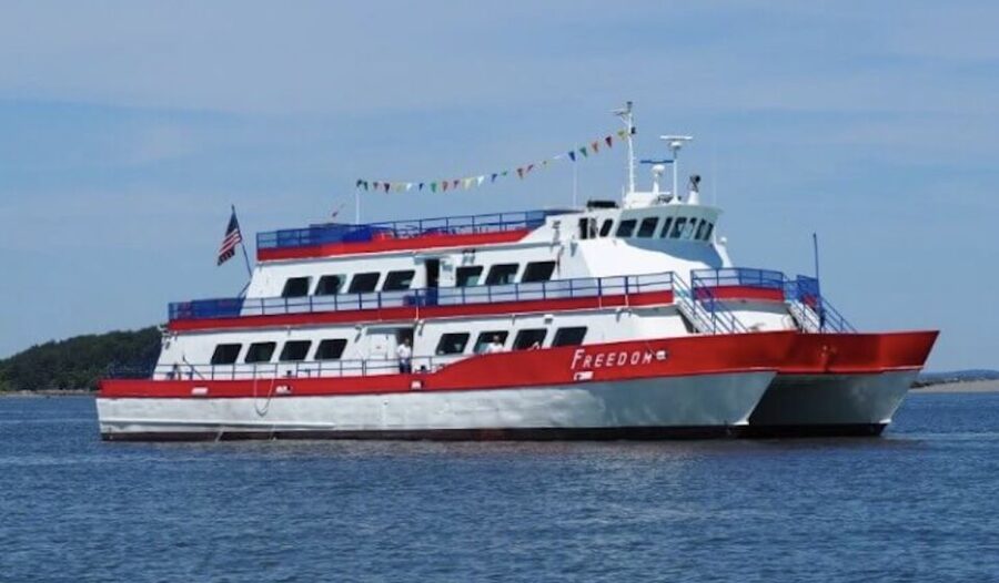 Boston: Scenic Harbor Cruise (Dog-Friendly) - Price and value: $31 for views you can’t fake