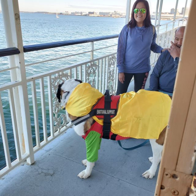 Boston: Scenic Harbor Cruise (Dog-Friendly) - Dog-friendly cruising: how to make it work smoothly