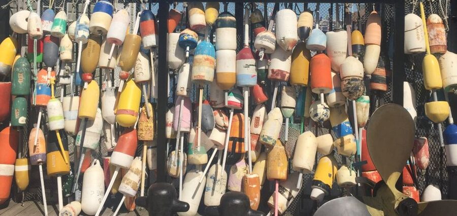 Boston: Seafood Tasting & Historical Walking Tour - Who should book this Boston seafood and history walk