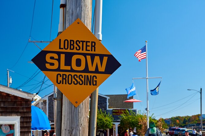 Boston to Kennebunkport Day Trip with Optional Trolley Tour - Perkins Cove: a fun wander and an easy extra (if you want it)