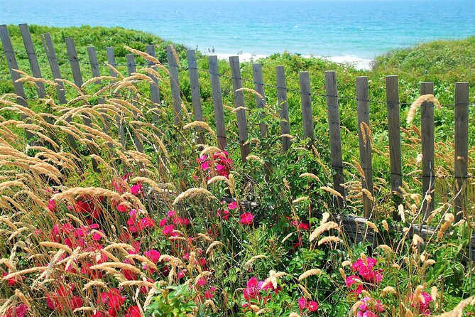 Boston to Martha's Vineyard Day Trip with Optional Island Tour - Optional 3-hour narrated island tour: what you gain, what you might not