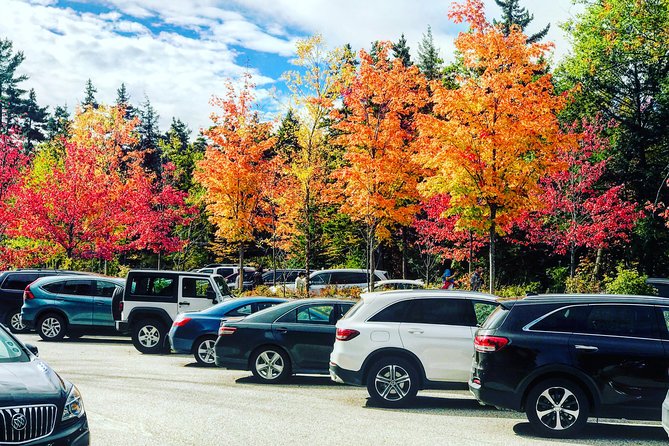 Boston to New Hampshire Fall Foliage White Mountains Day Trip - Guide talk and local history: why “live commentary” matters on a foliage day