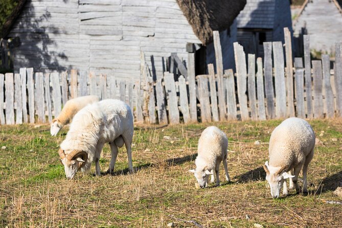 Boston to Plymouth Day-Trip including Quincy, Plimoth Patuxet and Mayflower II - Scituate Lighthouse: where the coast and a quirky story meet