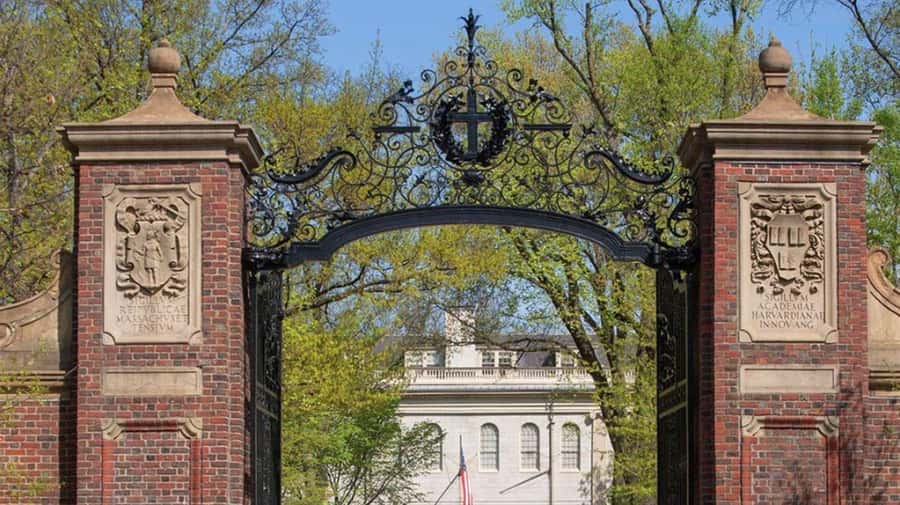 Cambridge, Massachusetts: MIT and Harvard Walking Tour - MIT and Harvard in one ticket: why the flow feels efficient