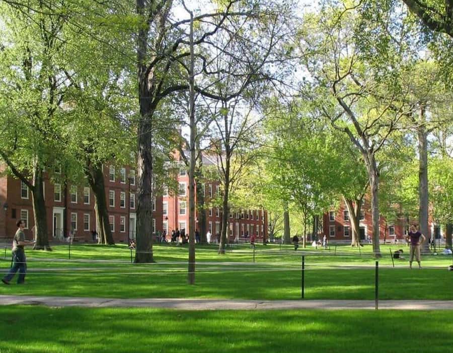 Cambridge, Massachusetts: MIT and Harvard Walking Tour - Harvard Yard and the Statue of the Three Lies: tradition with a wink