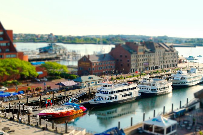 City Cruises Boston 90-Minute Harbor Sunset Sightseeing Cruise - Seasonality and Weather: When the Cruise Works Best