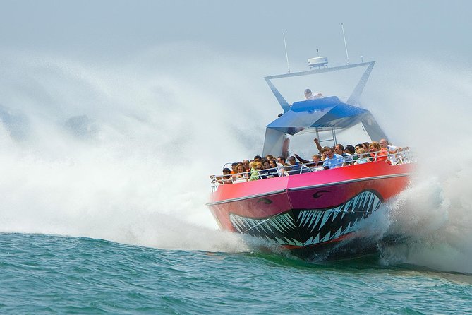 City Cruises Boston Codzilla High-Speed Thrill Boat Ride - Key Takeaways Before You Go