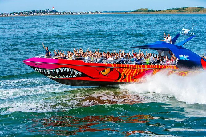 City Cruises Boston Codzilla High-Speed Thrill Boat Ride - Boston Harbor Views: Why Timing and Seat Choice Matter