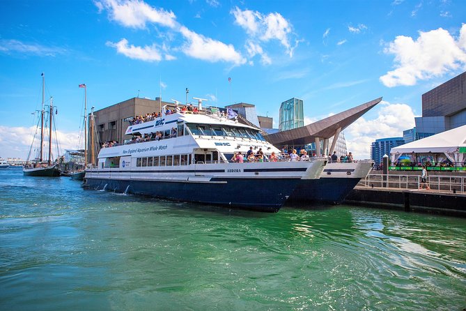 City Cruises Boston Whale Watching Cruise by High-Speed Boat - Naturalist Narration and Deck Time: How Spotting Actually Works