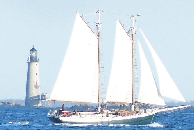 Classic Tall Ship Cruise in Boston Harbor - What You’ll See From the Water: Skyline Views and How Wind Changes the Route