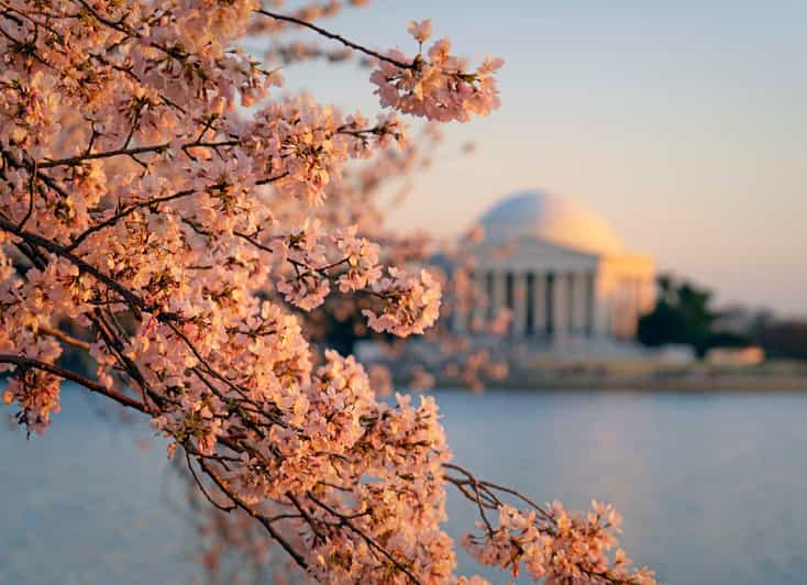 From Boston: 4-Day Tour to New York, D.C.&Niagara Falls - Key points worth knowing before you go