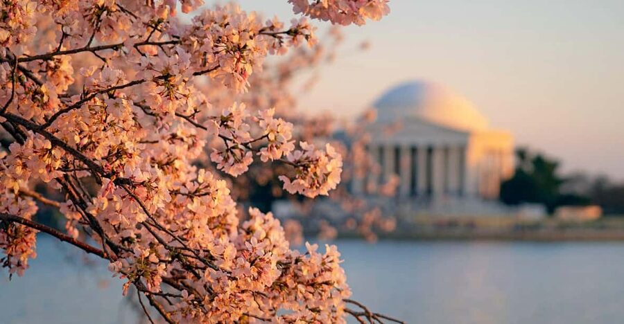 From Boston: 4-Day Tour to New York, D.C.&Niagara Falls - Day 2: Philadelphia stops and Washington D.C. with Capitol, Archives, and the White House area