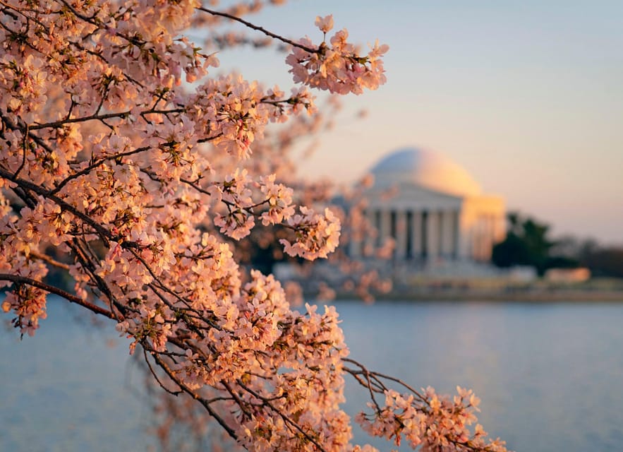 From Boston: 4-Day Tour to New York, D.C.&Niagara Falls - Price and what you’re really buying for $645 per person