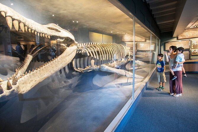 Go City: Boston Explorer Pass - Choose 2, 3, 4 or 5 Attractions - Building a smart mix from the included attractions