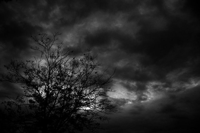 Mysteries and Murders of Salem Guided Night-Time Walking Tour - Key highlights I’d circle before you go