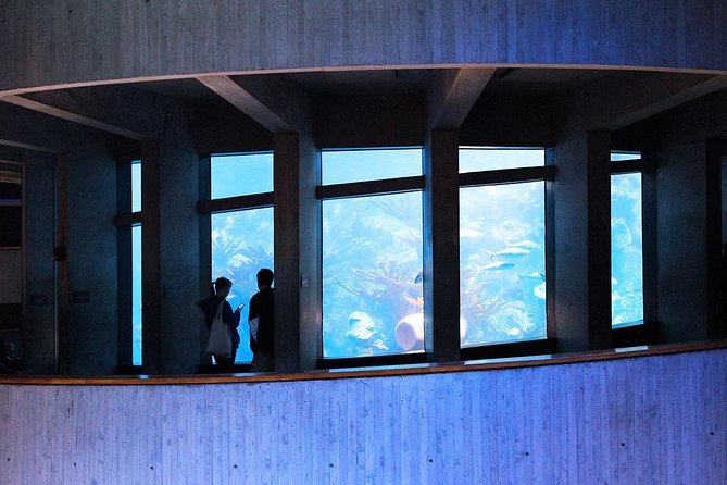 New England Aquarium Admission Ticket in Boston - Key highlights to know before you go