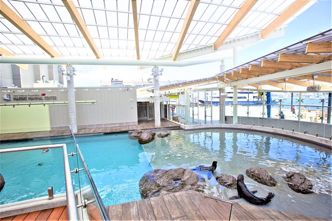 New England Aquarium Admission Ticket in Boston - Touch Tank fun: stingrays and hands-on sea life