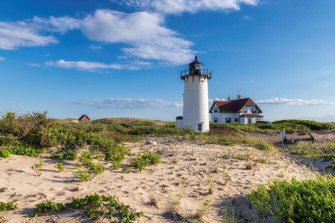 Provincetown and Cape Cod High Speed Ferry to/from Boston - Key Points You’ll Care About