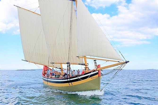 Schooner Fame Sailing Tour - Key things you’ll notice right away
