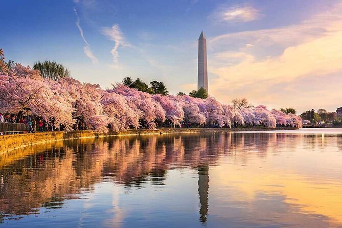 Washington D.C. Cherry Blossom,Baltimore 3-Day Tour from Boston - Key Takeaways Before You Go